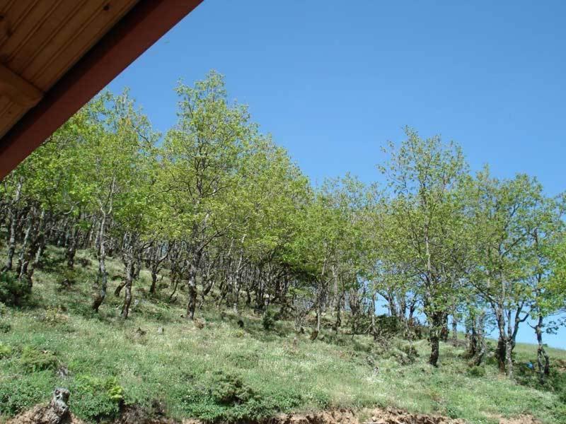 Guesthouse Irida Belokomiti Exterior foto